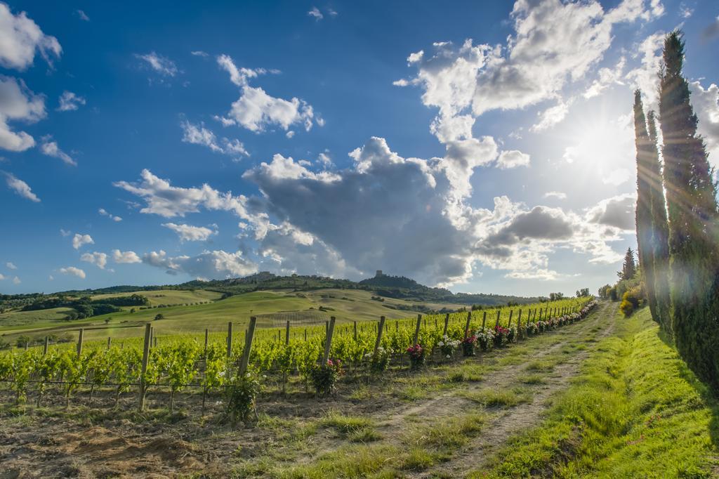 Agriturismo Poggio Istiano Bagno Vignoni Buitenkant foto