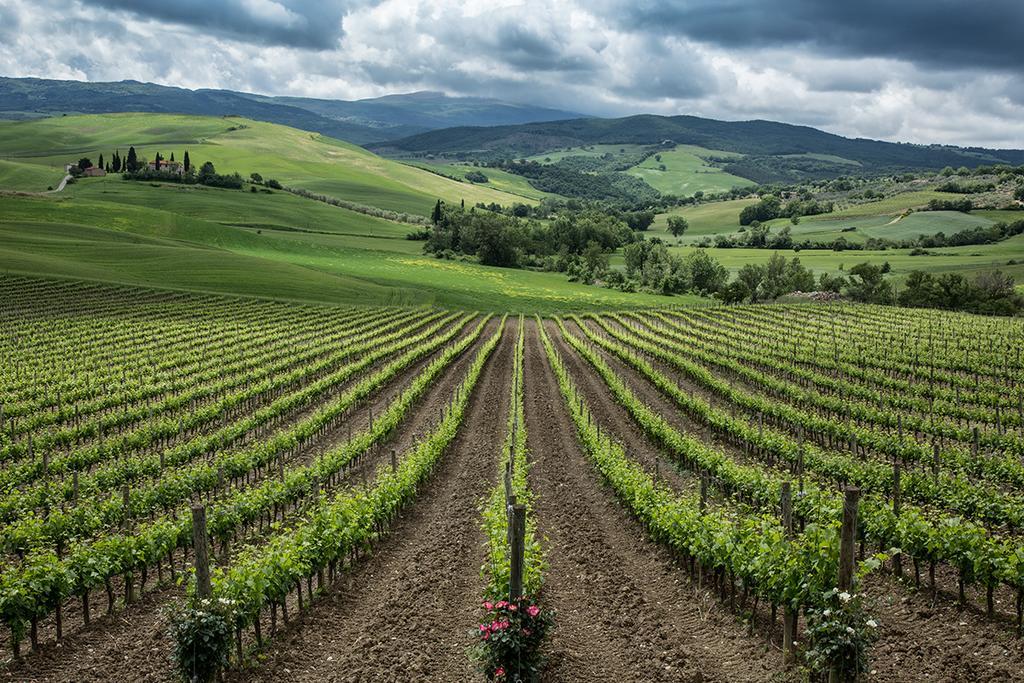 Agriturismo Poggio Istiano Bagno Vignoni Buitenkant foto